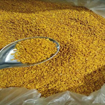 安圖縣綠森生態(tài)園較新產品大全