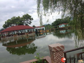 疊彩區(qū)休閑農莊生態(tài)園 東西都有接手就可以開業(yè)位置好客流大