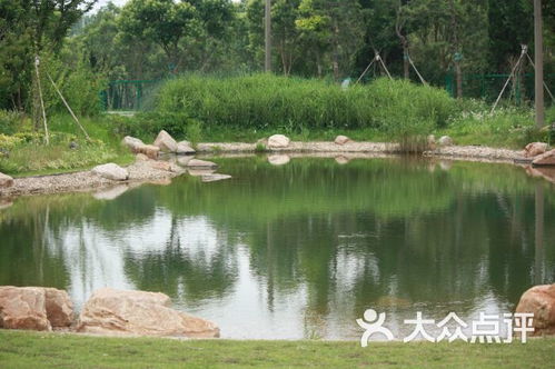 泰生農場生態(tài)園住宿 崇明店