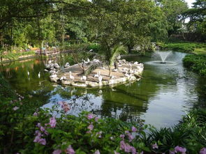 不知道這些都不能說(shuō)了解新加坡