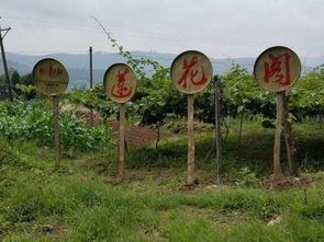 醉 生態(tài)丨蓮花閣生態(tài)園, 又一個(gè)世外桃源