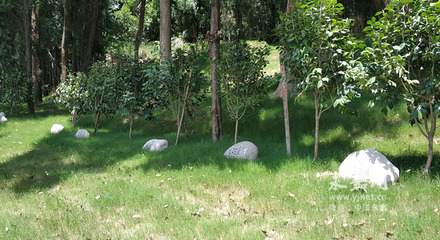 小舟垟門(mén)前山:從墳山到生態(tài)公園的蝶變故事