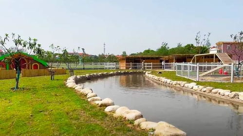 自駕到武漢蔡甸這座生態(tài)園 體驗(yàn)土灶做飯燒菜,還有特色露營(yíng)區(qū)