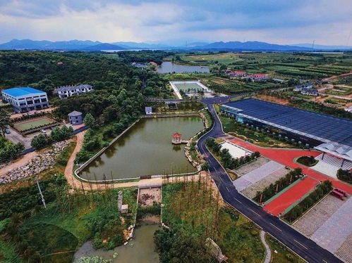 文登 三農(nóng) 大豐收 十三五 成就巡禮 六