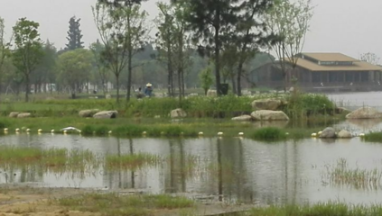 勝地公園 吳江最大的生態(tài)園，自然與人文的完美融合
