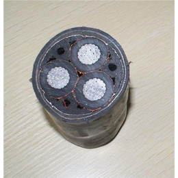 固原超高壓電纜、河北新寶豐電纜與特種電纜市場探析